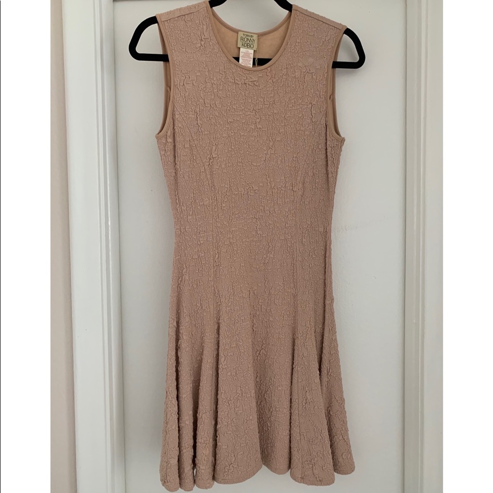 Torn by Ronny Kobo Blush Dress NWT